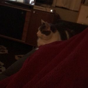 Meet your Posher, Paula